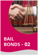 Bail bond SEO case study