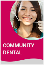 community dental SEO case study